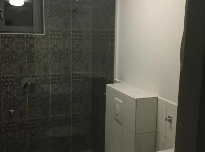 Szkita Panzio לינה וארוחת בוקר 4*